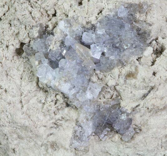 Purple/Gray Fluorite Cluster - Marblehead Quarry Ohio #81155